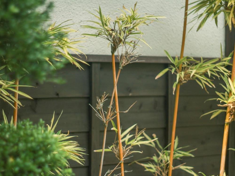 Ryokan Hikarinoie Jufu Exteriér fotografie
